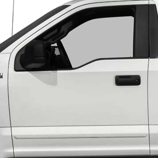 Ford F-150 Regular Cab Painted Body Side Moldings 2015 - 2025