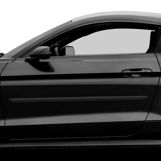  Ford Mustang Painted Body Side Molding 2005 - 2026 / FE-MUSTANG