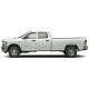  Ram 2500 Crew Cab Painted Body Side Molding 2019 - 2025 / FE-RAM19-2500-CC