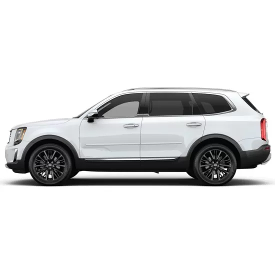 Kia Telluride Painted Body Side Moldings 2020 - 2026