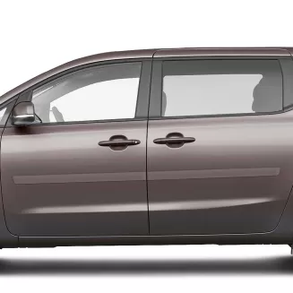Kia Sedona Painted Body Side Moldings 2015 - 2021