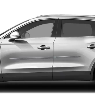 Lincoln MKX Painted Body Side Moldings 2016 - 2023