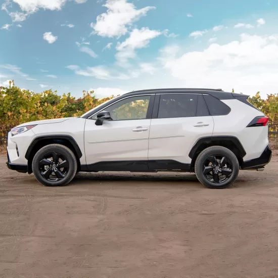  Toyota RAV4 Painted Body Side Molding 2019 - 2025 / FE7-RAV4-19