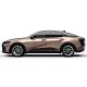 Toyota Crown Painted Body Side Moldings 2023 - 2026