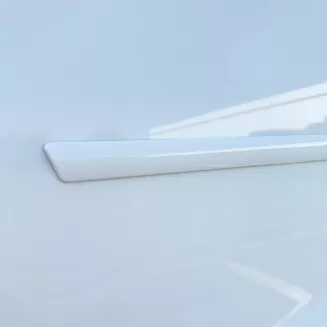  Ford F-250 SuperCrew (4 Full Size Doors) Painted Body Side Molding 1999 - 2016 / FE-F250/350-CC