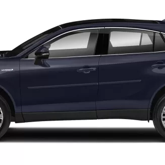 Toyota Venza Painted Body Side Moldings 2021 - 2024